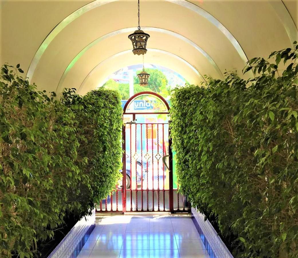 Edificio Cadiz Benidorm 아파트 외부 사진